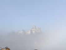 IMG_20191023_120551.jpg